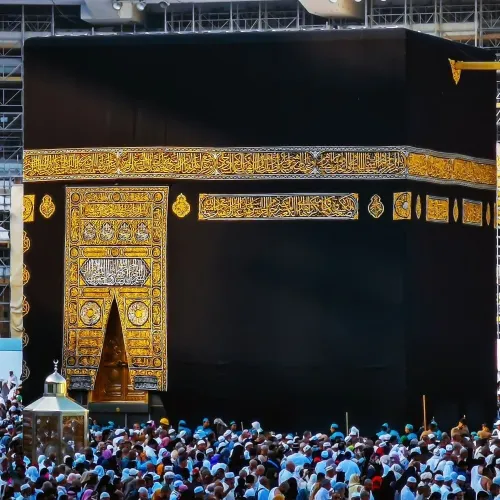 عمرة المولد النبوي الشريف في شهر سبتمبر فندق سجى اجياد / اجياد المصافي/ فندق انفينيتي