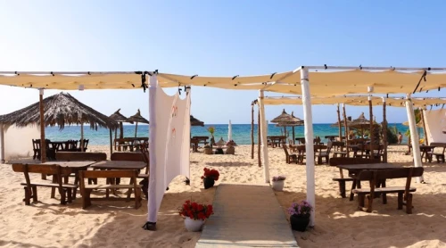 Tunisie / Hammamet par Bus Hôtel Yasmine Beach à 48.990 Da رحلة لتونس بالحافلة