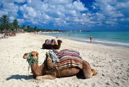 TUNISIE / Djerba PROMO Hôtels JUIN & JUILLET 8.400 Da جربة