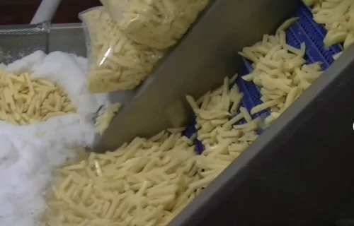 ligne de production des frites fraiches et frites surgelés
