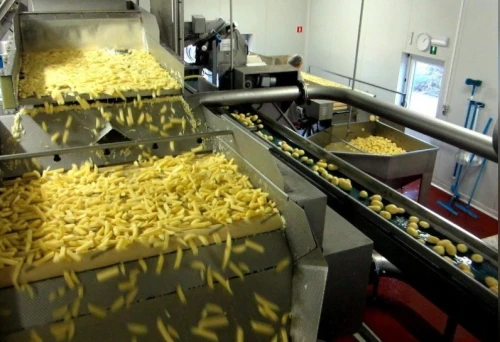ligne de production des frites fraiches et frites surgelés