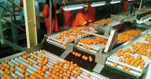 Investissement agricole et agro-alimentaire en Algérie