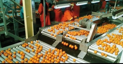 Production de jus de fruits naturel, eau minérale, eau gazeuse