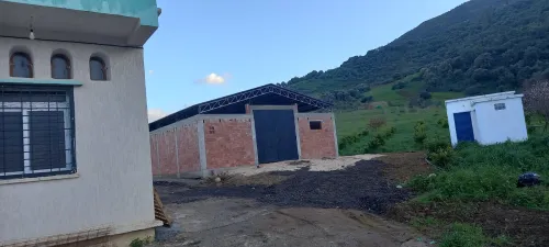 Location Hangar - Usine Bouira Lakhdaria