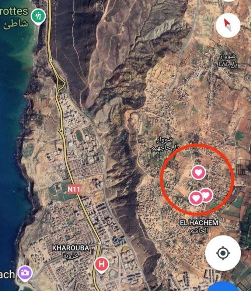 Vente Terrain Appartement F4 Mostaganem Sayada