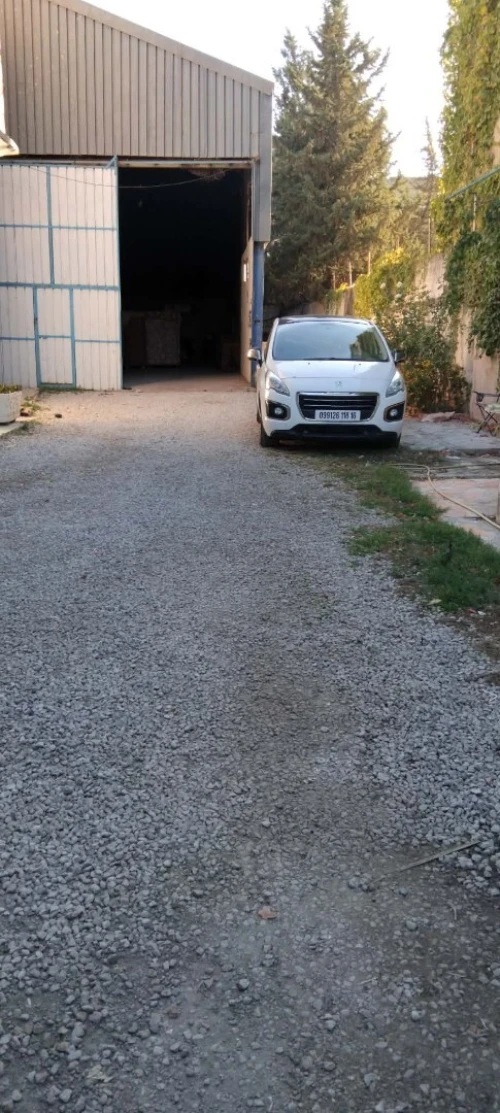 Vente Hangar - Usine Blida Beni mered