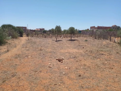 Vente Terrain Mostaganem Sidi lakhdaara