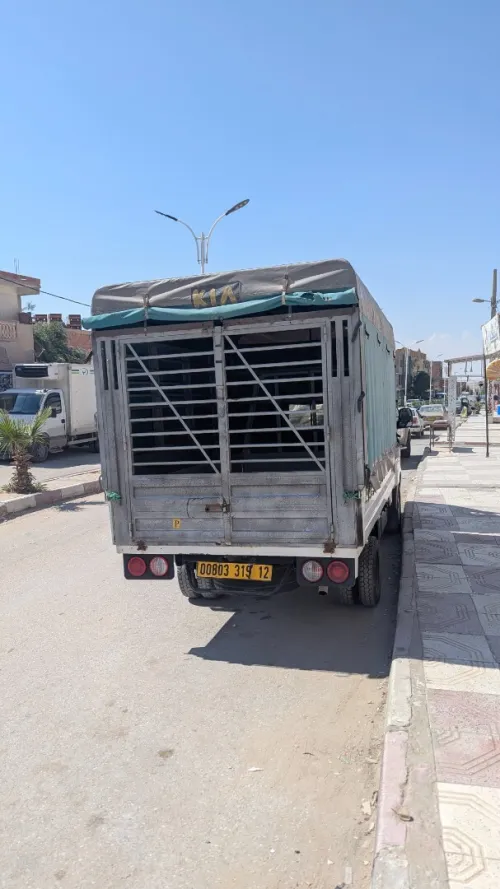 Kia Kia k 2500 2019
