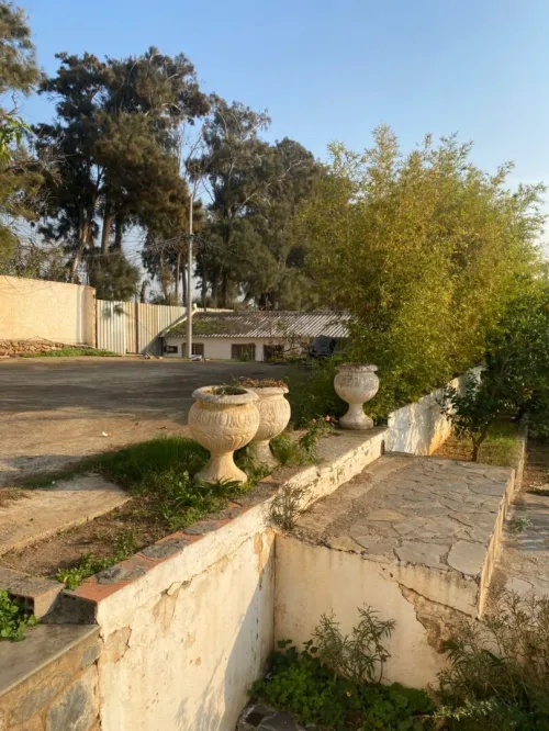Location Hangar - Usine Alger Staoueli