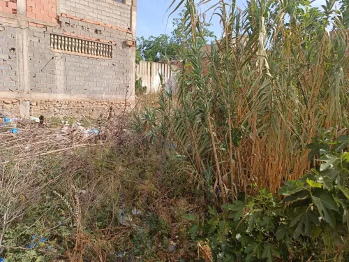 Vente Terrain Sidi Bel Abbès Sidi bel abbes
