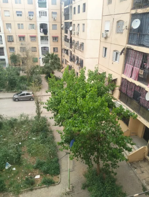 Vente Appartement F4 Blida Ouled yaich
