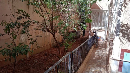 Vente Villa Blida Blida