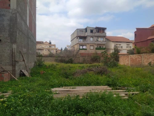 Vente Terrain Blida Ouled yaich