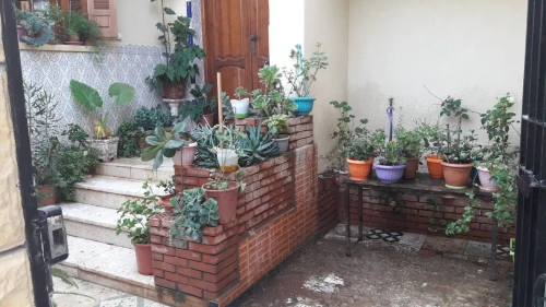 Vente Villa Blida Beni tamou