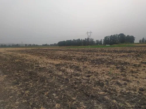Vente Terrain Agricole Blida Ouled el alleug
