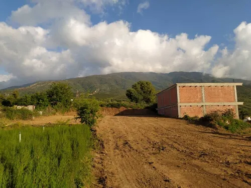 Vente Terrain Blida Guerrouaou