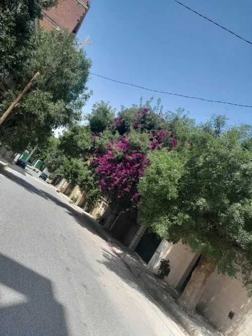Vente Appartement F3 Alger Mohammadia