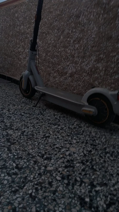 Ninbot G 30 max 2023