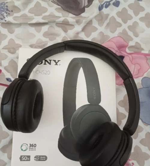 Sony wh ch 520