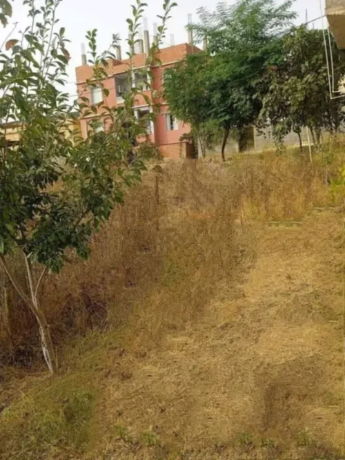 Vente Appartement F4 Skikda Ramdane djamel