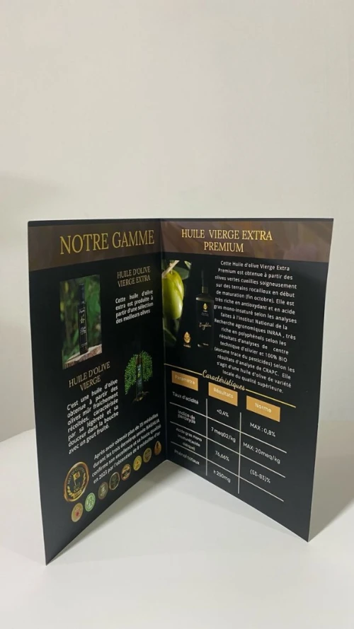 Carte de Visite / flyer / dépliant / chemise