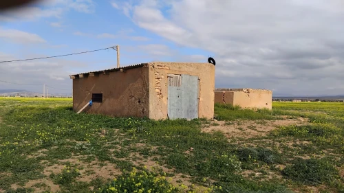 Vente Terrain Agricole Sidi bel abbes Sfissef