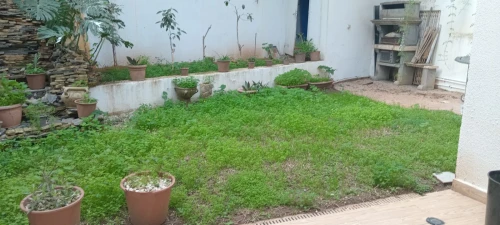 Location Villa Alger Draria