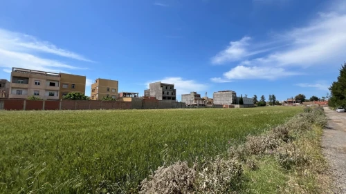 Vente Terrain Alger Douera 3