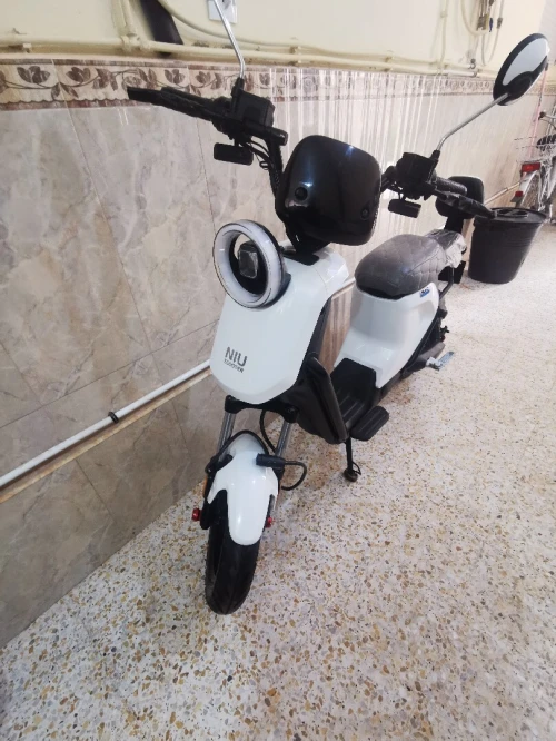 Niu MIMO SPORT 2024