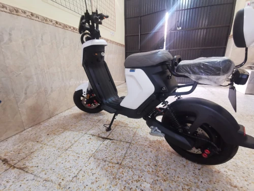 Niu MIMO SPORT 2024
