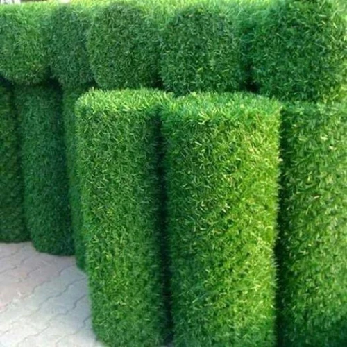 Grillage Zimmerman + Gazon disponible