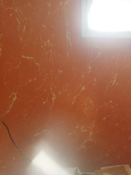 Vente Villa Alger Bordj el kiffan