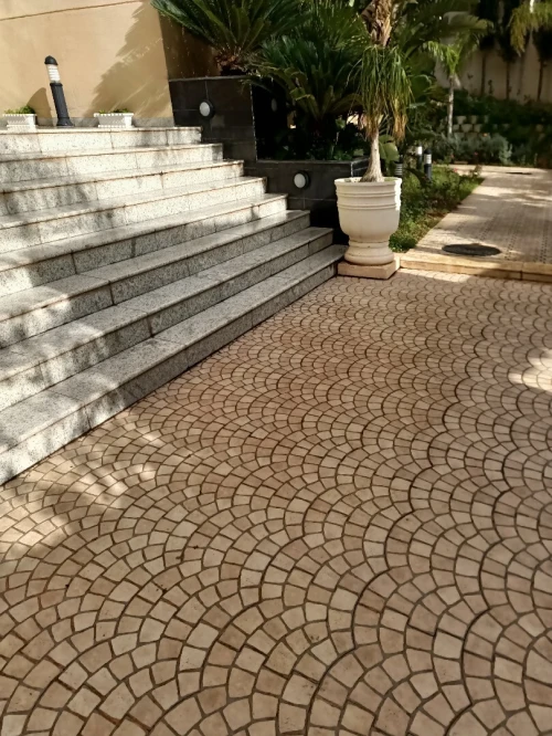 Location Appartement F3 Alger El biar