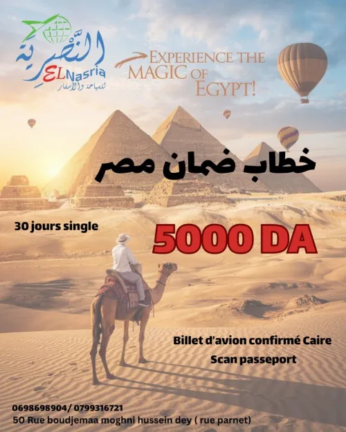 خطاب ضمان مصر