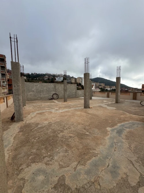 Vente Villa Alger Rais hamidou
