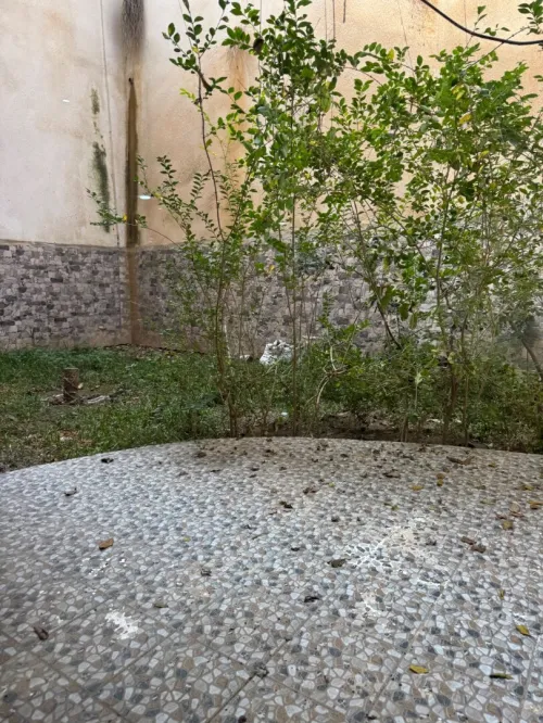 Vente Appartement Duplex F6 Alger Bouzareah