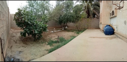 Location Appartement F4 Biskra Chetma 8