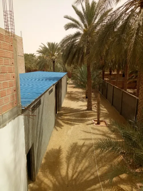 Vente Hangar - Usine Biskra Biskra