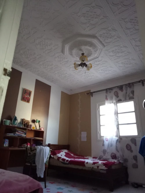 Vente Niveau De Villa F9 Biskra Chetma