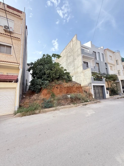 Vente Terrain Alger El achour
