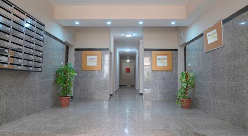Location Appartement F4 Alger Birkhadem