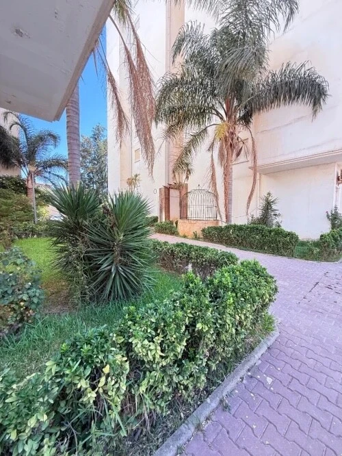 Location Appartement F4 Alger Cheraga