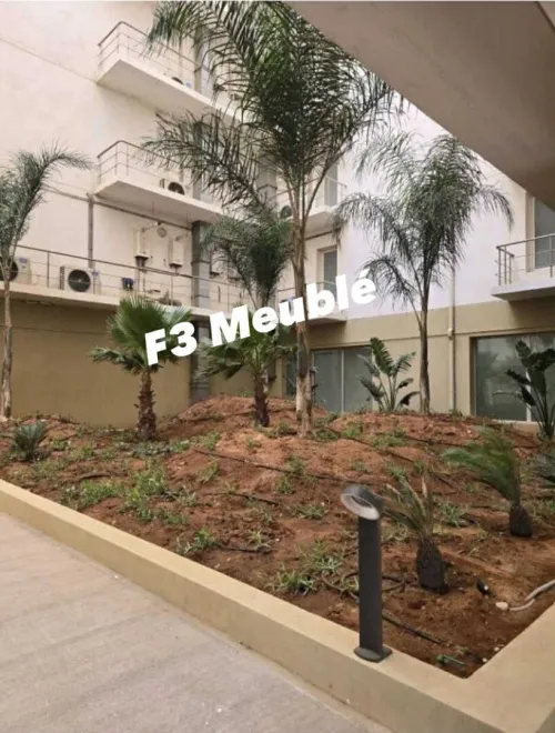 Location Appartement F3 Alger Dely brahim