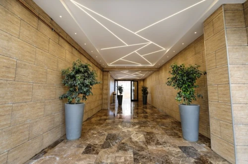 Vente Appartement F3 Alger Draria