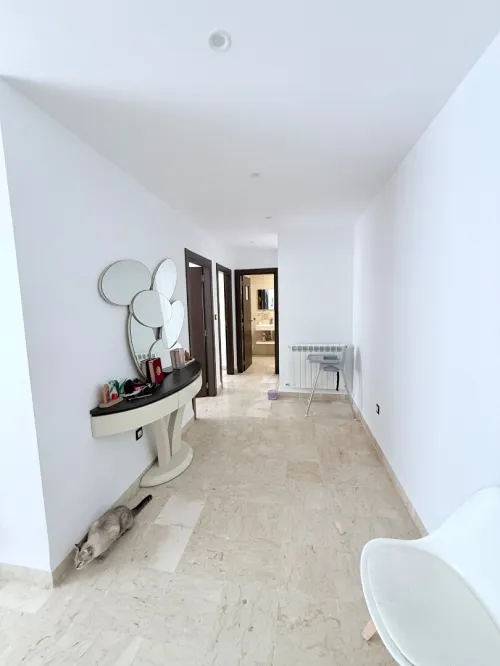 Vente Appartement F3 Alger Dely brahim