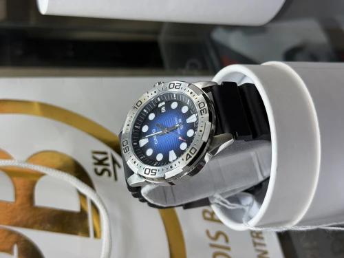 Deux montre casio originales