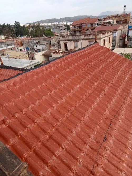 Travaux étanchéité général 