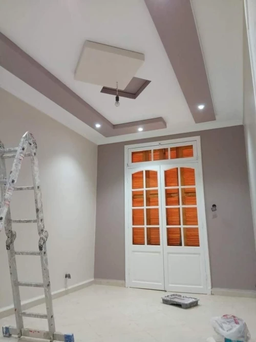 Peintre intérieur et extérieur 