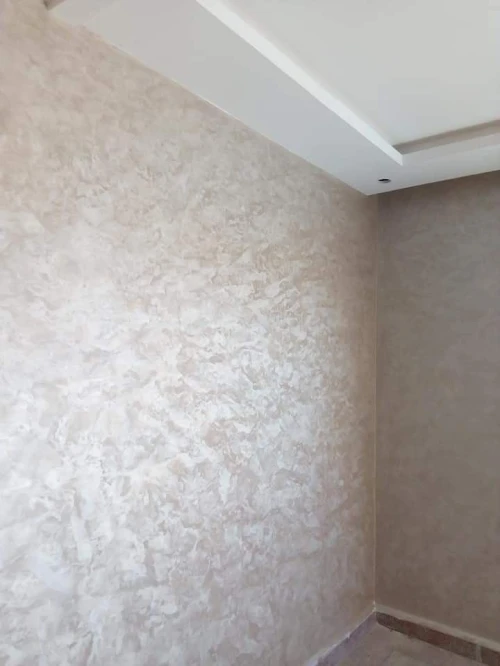 Peintre intérieur et extérieur 