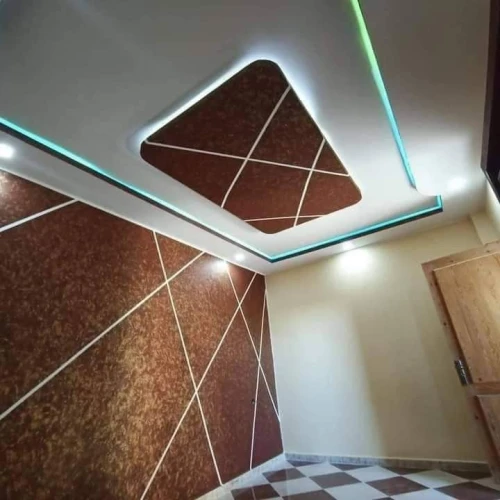 Peintre intérieur et extérieur 